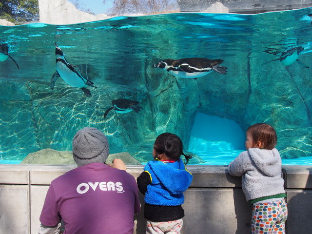 834505_1886667482_226large.jpg