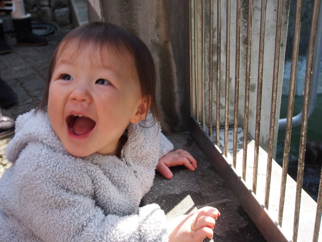 834505_1886667486_135large.jpg