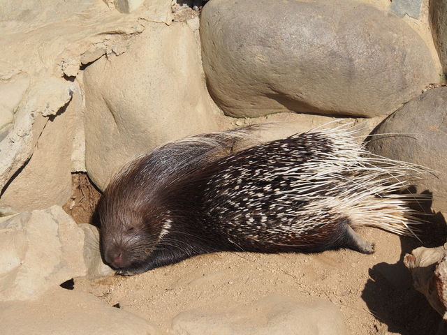 834505_1886667489_23large.jpg