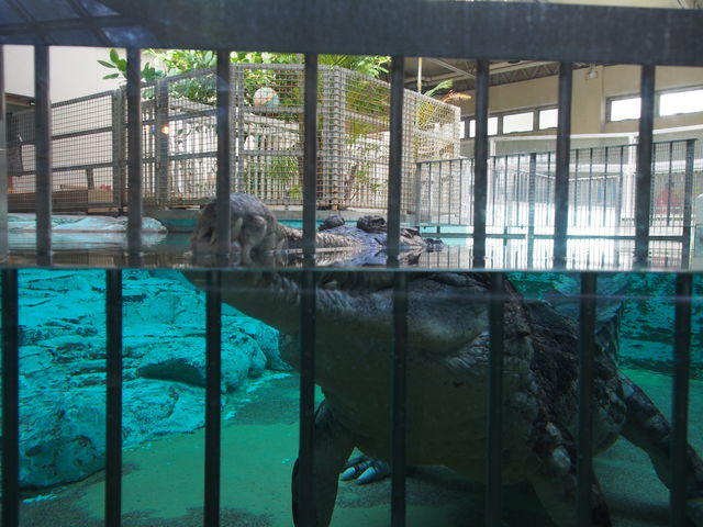 834505_1886667514_213large.jpg