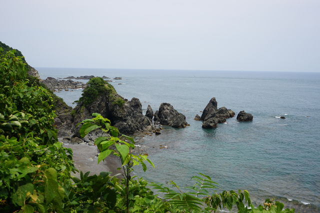 834505_2093437955_196large.jpg